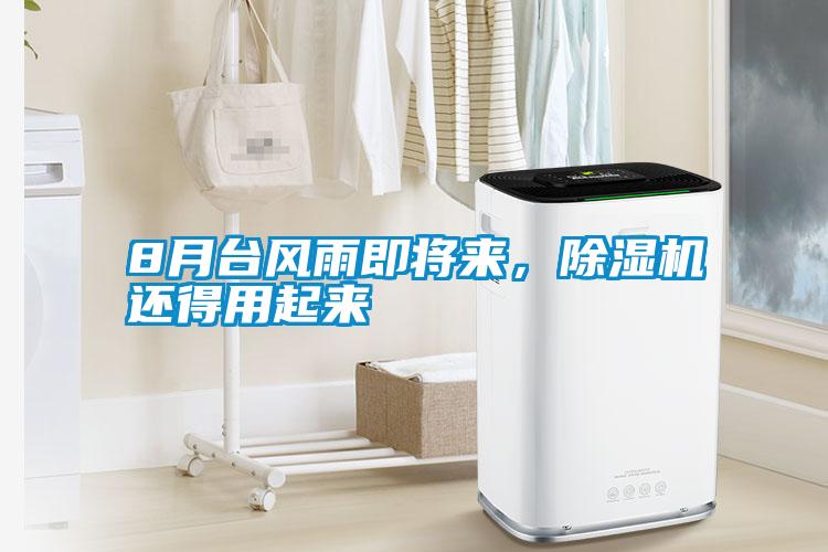 8月臺風雨即將來，除濕機還得用起來