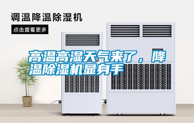高溫高濕天氣來了，降溫除濕機顯身手