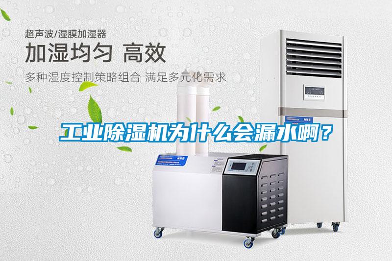 工業(yè)除濕機(jī)為什么會漏水?。?/></p>
						    <p style=