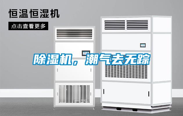 除濕機，潮氣去無蹤