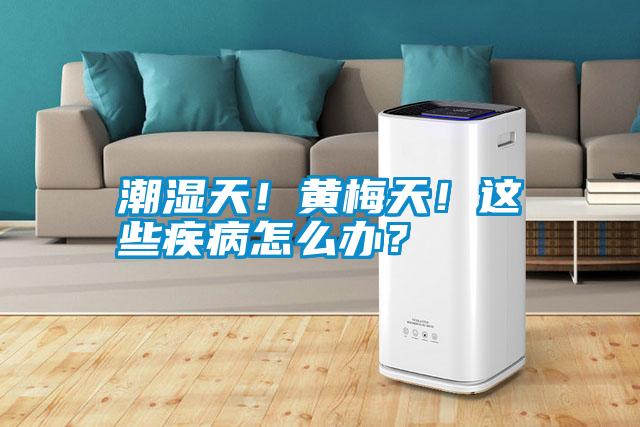 潮濕天！黃梅天！這些疾病怎么辦？