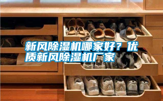 新風(fēng)除濕機(jī)哪家好？優(yōu)質(zhì)新風(fēng)除濕機(jī)廠家