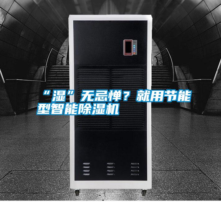 “濕”無忌憚？就用節(jié)能型智能除濕機(jī)