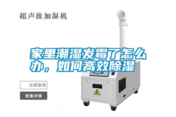 家里潮濕發(fā)霉了怎么辦，如何高效除濕