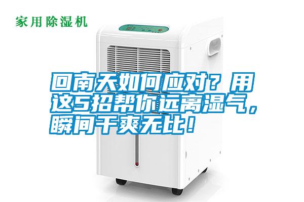 回南天如何應(yīng)對？用這5招幫你遠(yuǎn)離濕氣，瞬間干爽無比！