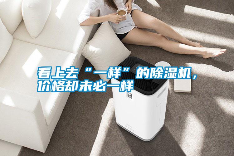看上去“一樣”的除濕機(jī)，價(jià)格卻未必一樣