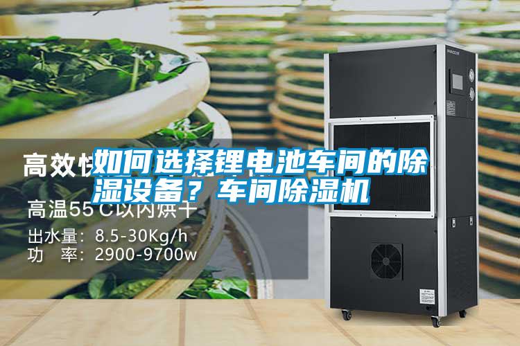 如何選擇鋰電池車間的除濕設(shè)備？車間除濕機(jī)