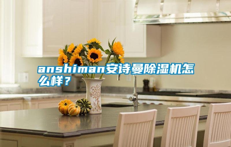 anshiman安詩曼除濕機怎么樣？