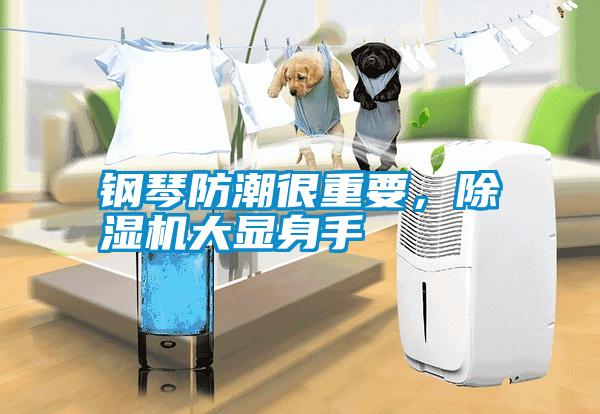 鋼琴防潮很重要，除濕機(jī)大顯身手
