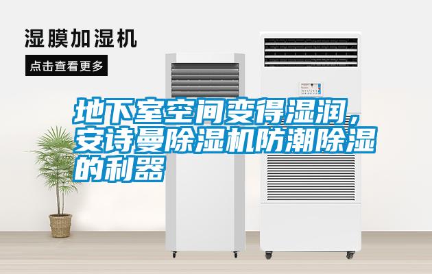 地下室空間變得濕潤(rùn)，安詩(shī)曼除濕機(jī)防潮除濕的利器