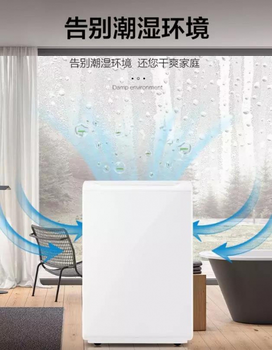 南方進(jìn)入回南天，多肉植物這樣養(yǎng)才不會有事！