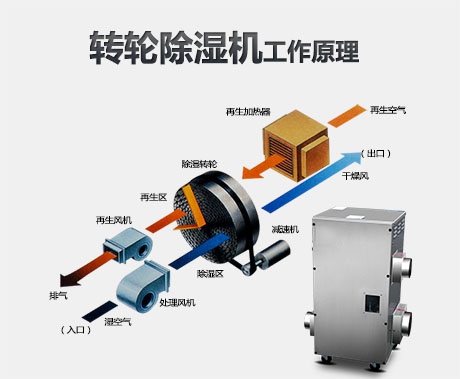 如何買到高性價比除濕機(jī)？看完這里你就懂了