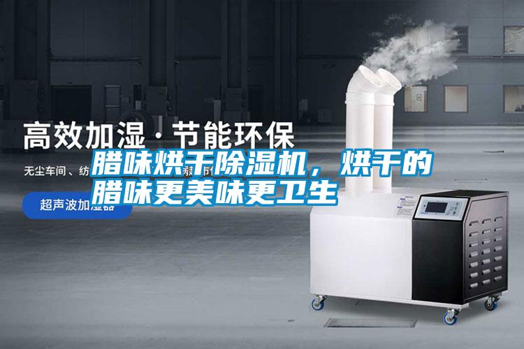 臘味烘干除濕機(jī)，烘干的臘味更美味更衛(wèi)生