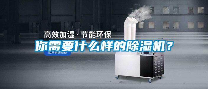 你需要什么樣的除濕機(jī)？