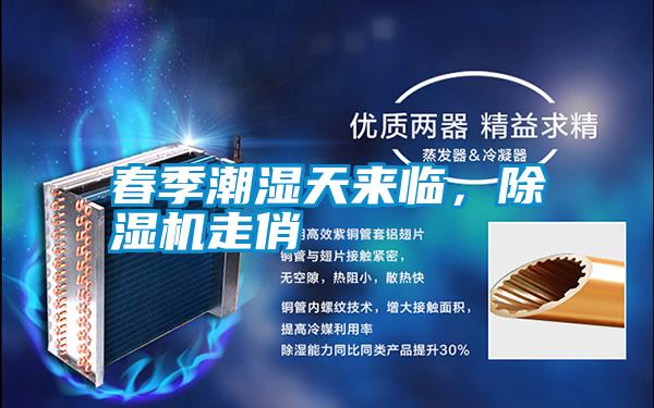 春季潮濕天來臨，除濕機(jī)走俏