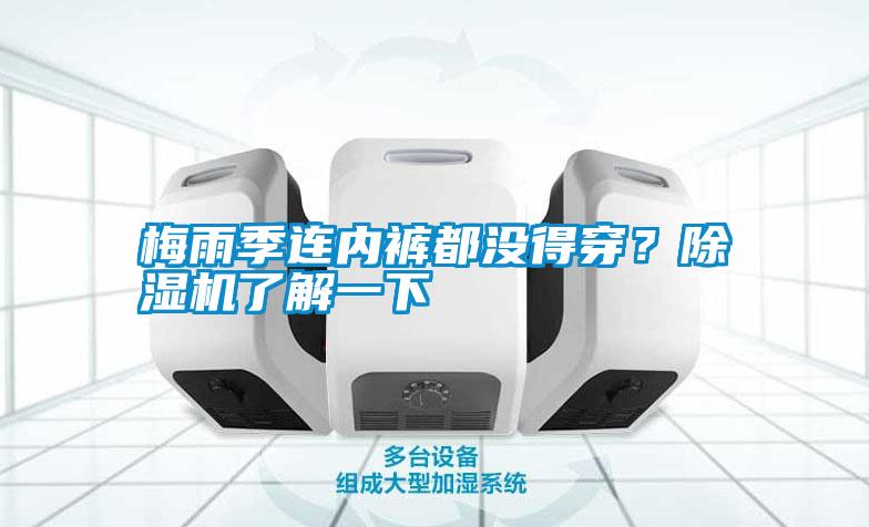 梅雨季連內(nèi)褲都沒得穿？除濕機了解一下