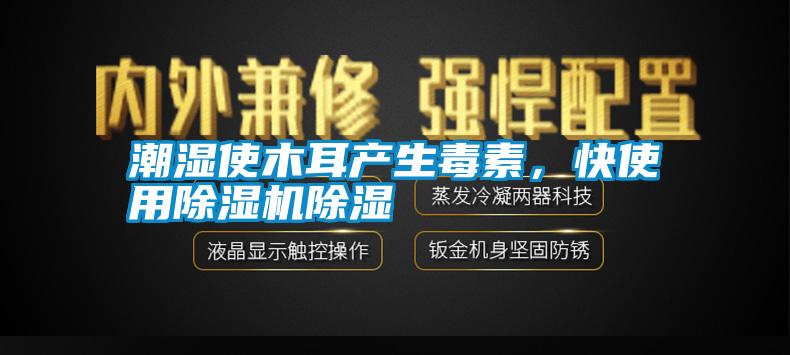 潮濕使木耳產(chǎn)生毒素，快使用除濕機(jī)除濕