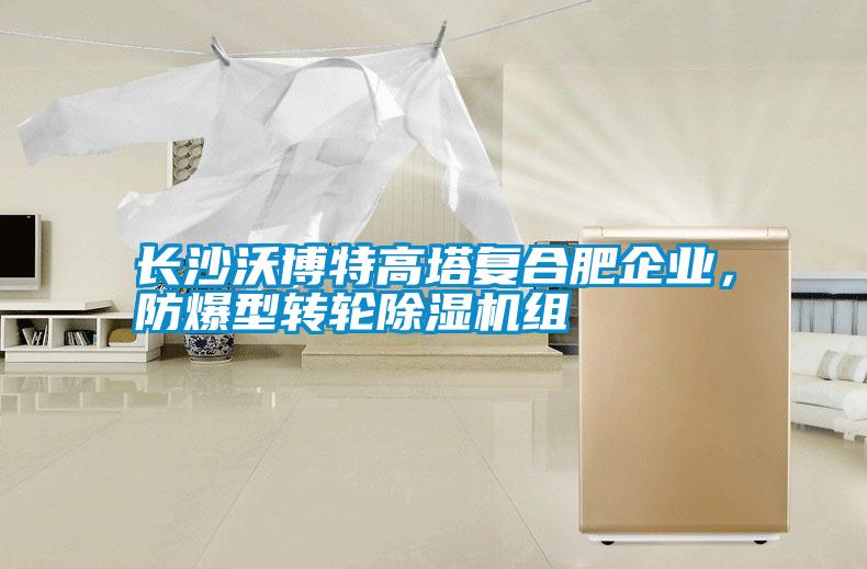 長(zhǎng)沙沃博特高塔復(fù)合肥企業(yè)，防爆型轉(zhuǎn)輪除濕機(jī)組
