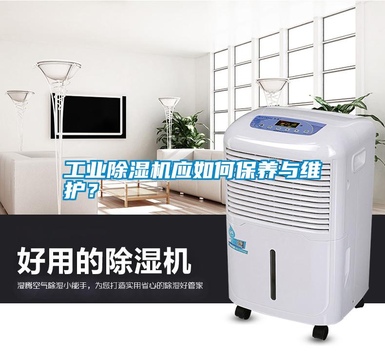 工業(yè)除濕機(jī)應(yīng)如何保養(yǎng)與維護(hù)？