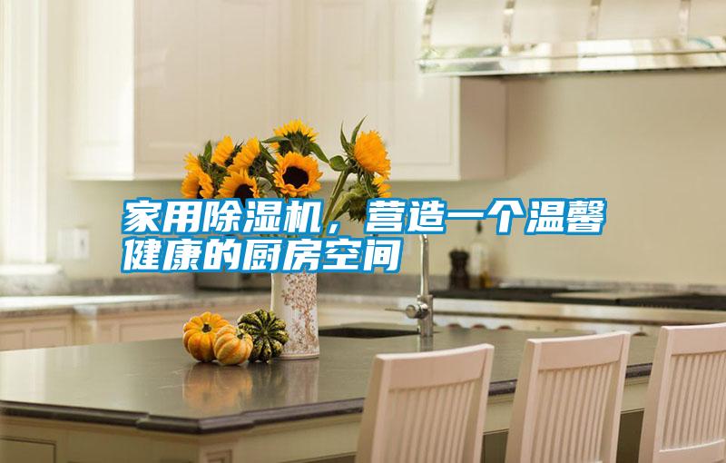 家用除濕機(jī)，營造一個溫馨健康的廚房空間