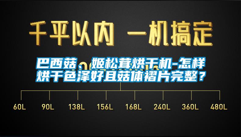 巴西菇、姬松茸烘干機(jī)-怎樣烘干色澤好且菇體褶片完整？