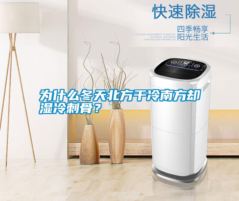 為什么冬天北方干冷南方卻濕冷刺骨？