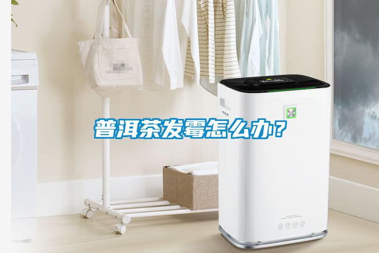 普洱茶發(fā)霉怎么辦？