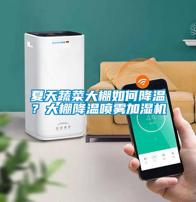 夏天蔬菜大棚如何降溫？大棚降溫噴霧加濕機