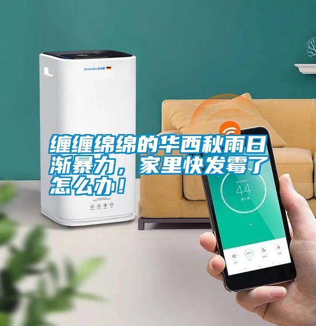 纏纏綿綿的華西秋雨日漸暴力，家里快發(fā)霉了怎么辦！