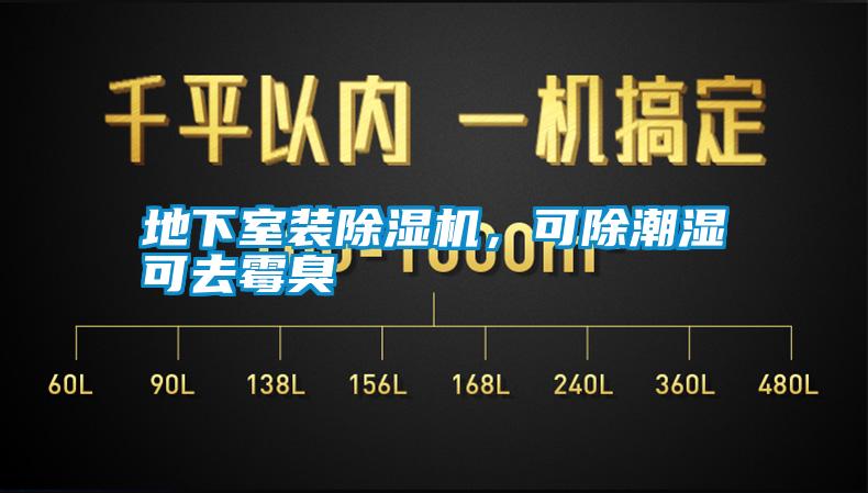 地下室裝除濕機(jī)，可除潮濕可去霉臭