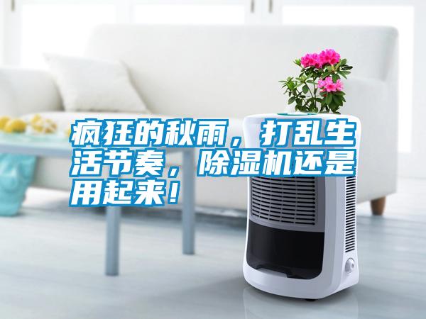 瘋狂的秋雨，打亂生活節(jié)奏，除濕機還是用起來！