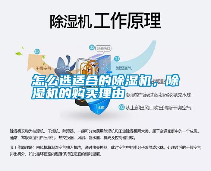 怎么選適合的除濕機(jī)，除濕機(jī)的購(gòu)買(mǎi)理由