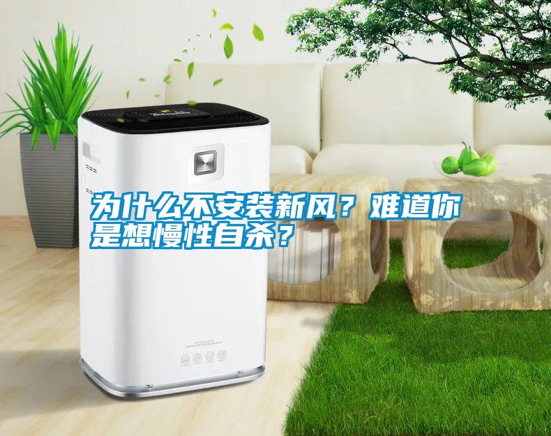 為什么不安裝新風(fēng)？難道你是想慢性自殺？