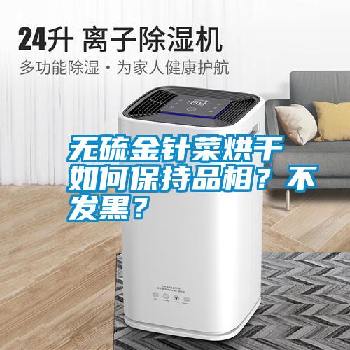 無硫金針菜烘干如何保持品相？不發(fā)黑？