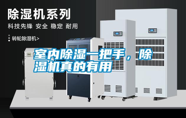 室內(nèi)除濕一把手，除濕機(jī)真的有用