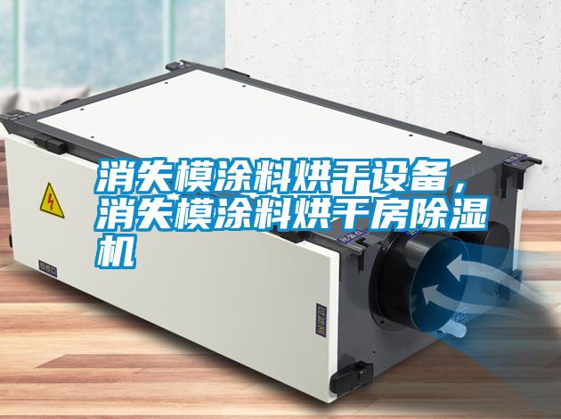 消失模涂料烘干設(shè)備，消失模涂料烘干房除濕機(jī)