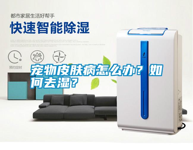 寵物皮膚病怎么辦？如何去濕？
