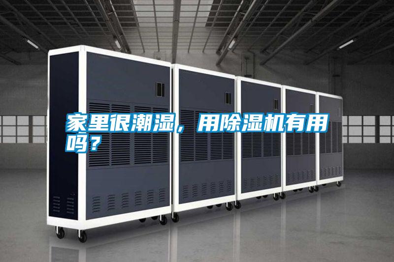 家里很潮濕，用除濕機(jī)有用嗎？