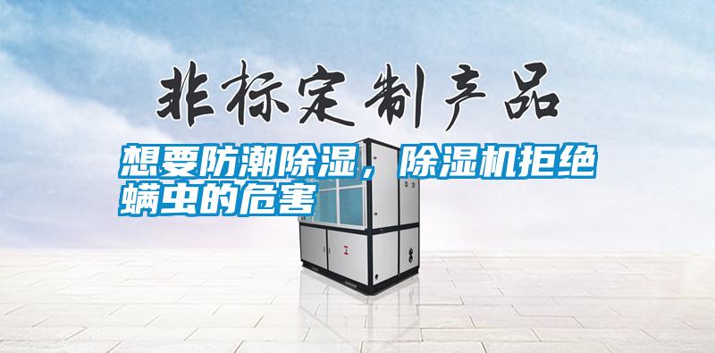 想要防潮除濕，除濕機(jī)拒絕螨蟲的危害
