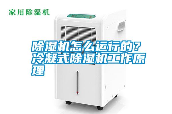 除濕機(jī)怎么運(yùn)行的？冷凝式除濕機(jī)工作原理