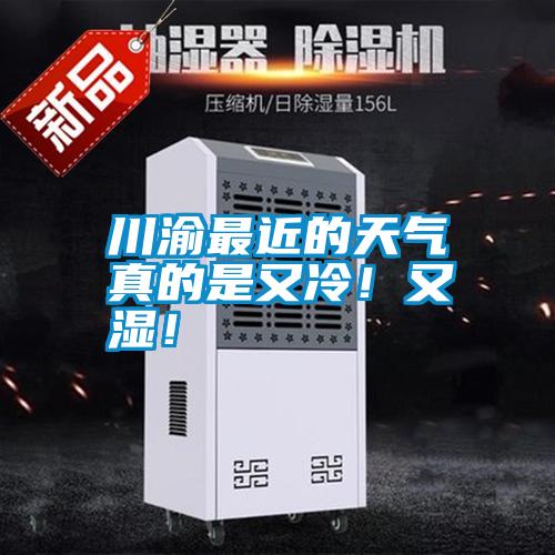 川渝最近的天氣真的是又冷！又濕！