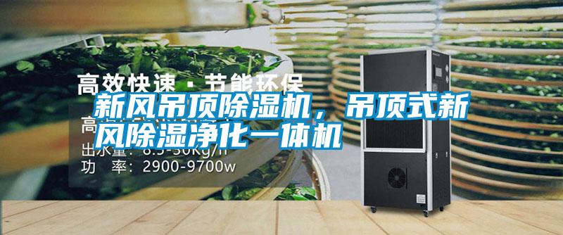 新風(fēng)吊頂除濕機(jī)，吊頂式新風(fēng)除濕凈化一體機(jī)