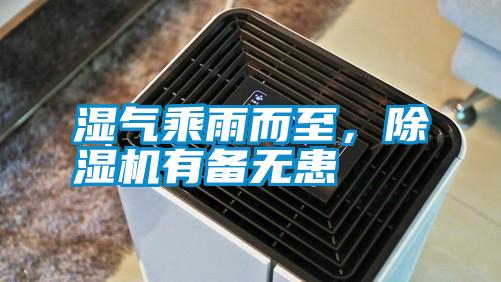 濕氣乘雨而至，除濕機有備無患