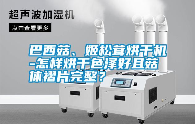 巴西菇、姬松茸烘干機(jī)-怎樣烘干色澤好且菇體褶片完整？