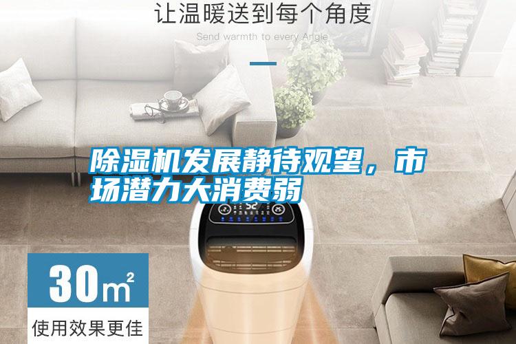 除濕機(jī)發(fā)展靜待觀望，市場(chǎng)潛力大消費(fèi)弱