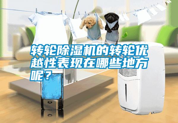 轉輪除濕機的轉輪優(yōu)越性表現在哪些地方呢？