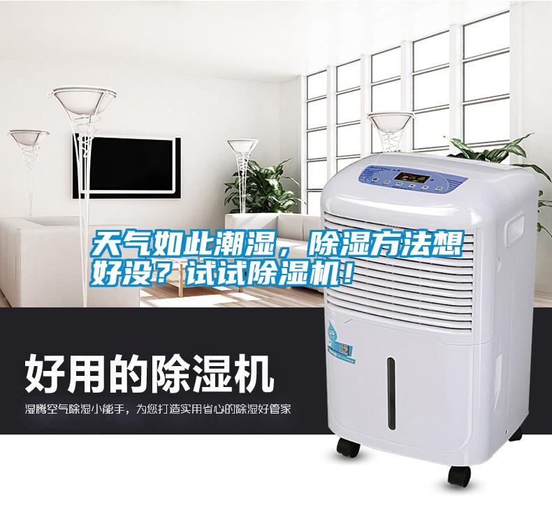 天氣如此潮濕，除濕方法想好沒？試試除濕機(jī)！