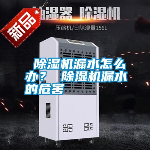  除濕機(jī)漏水怎么辦？ 除濕機(jī)漏水的危害