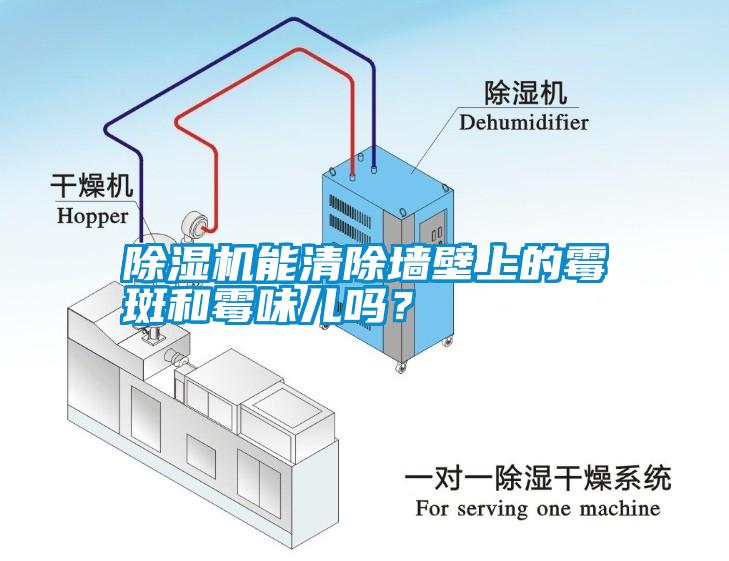 除濕機能清除墻壁上的霉斑和霉味兒嗎？