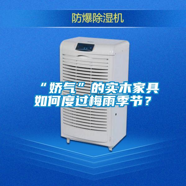 “嬌氣”的實(shí)木家具如何度過梅雨季節(jié)？